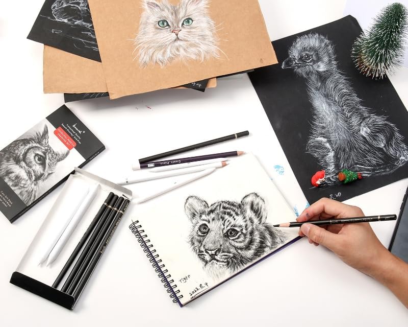 12 Piece Charcoal Set