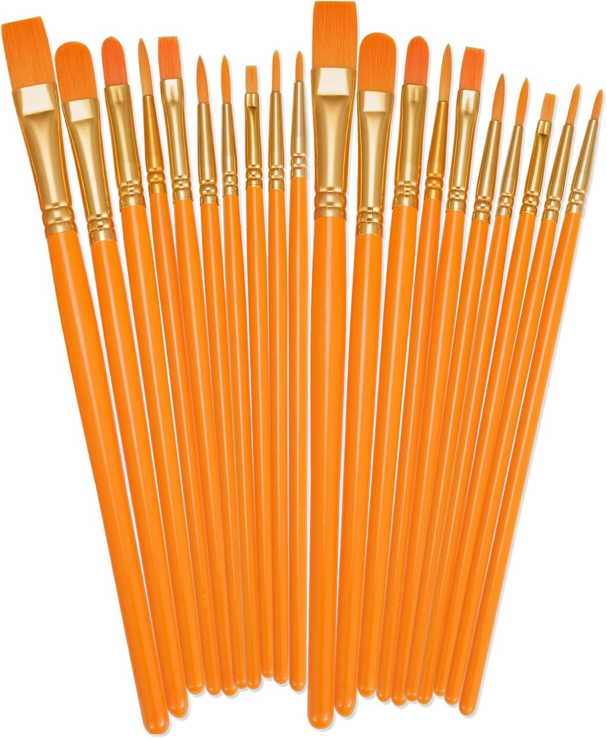 20 Piece Paint Brush Set
