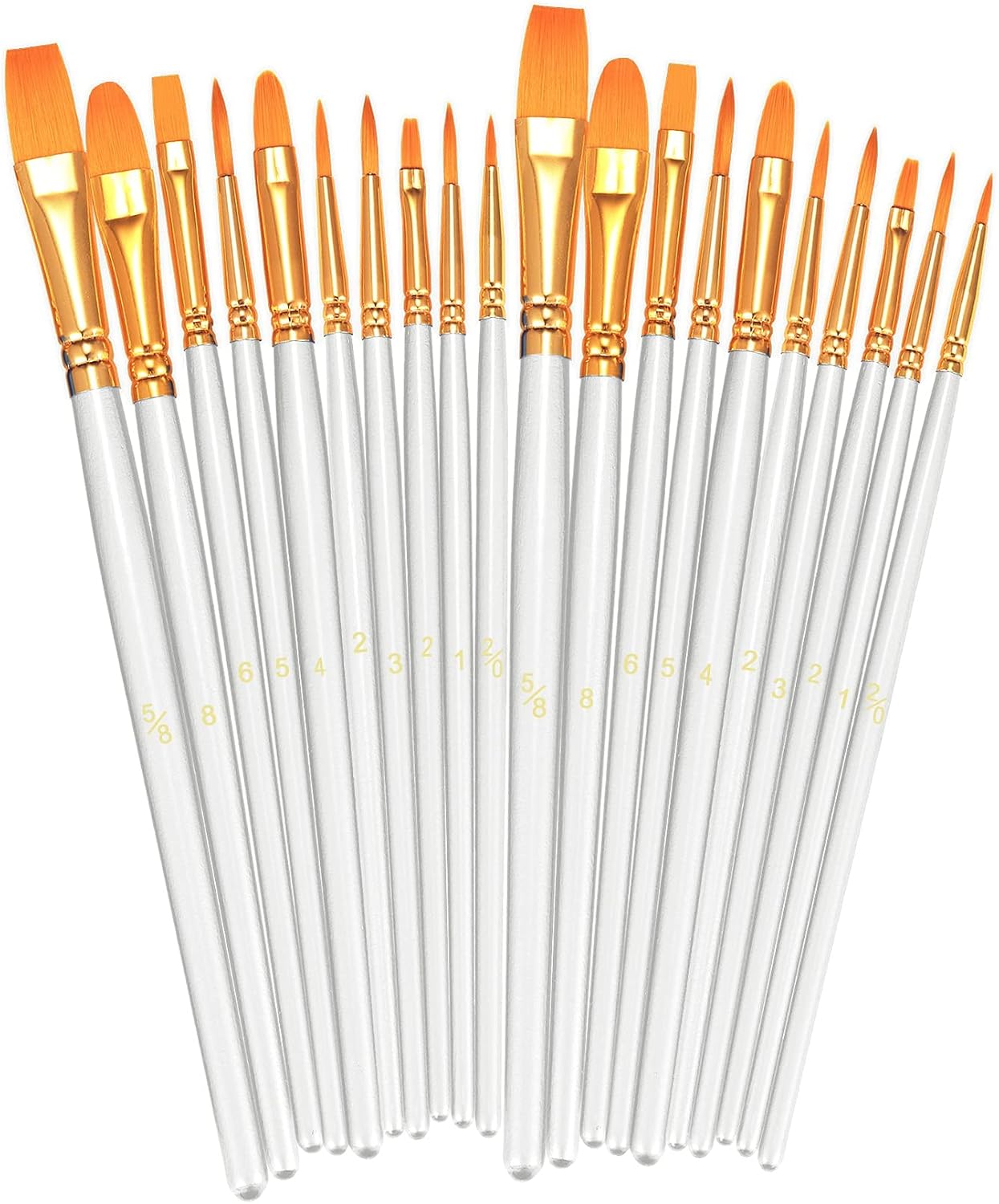 20 Piece Paint Brush Set