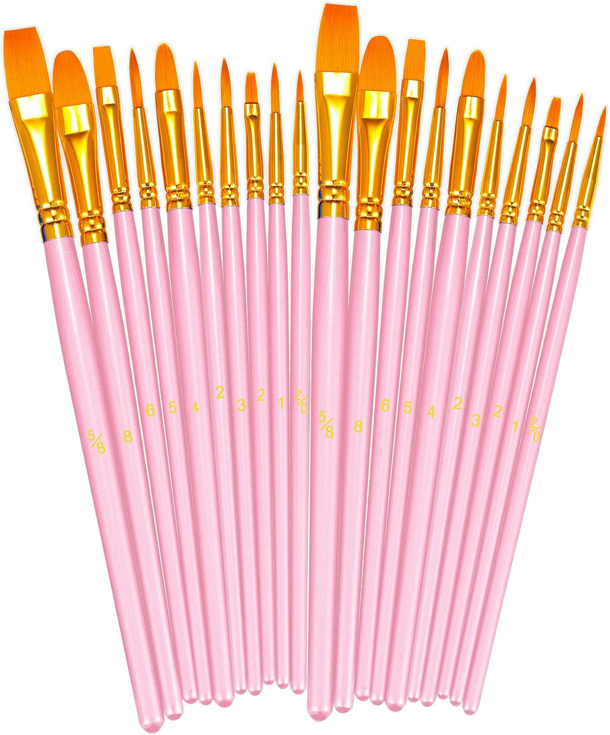 20 Piece Paint Brush Set