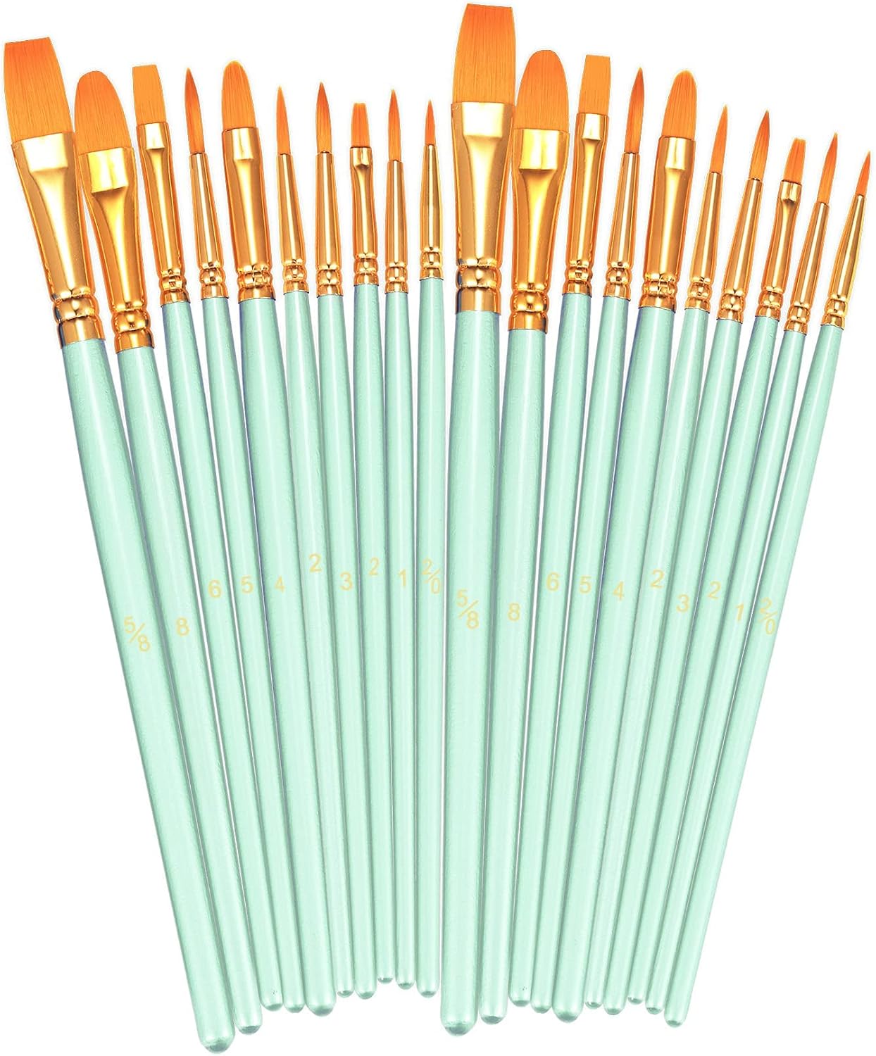 20 Piece Paint Brush Set