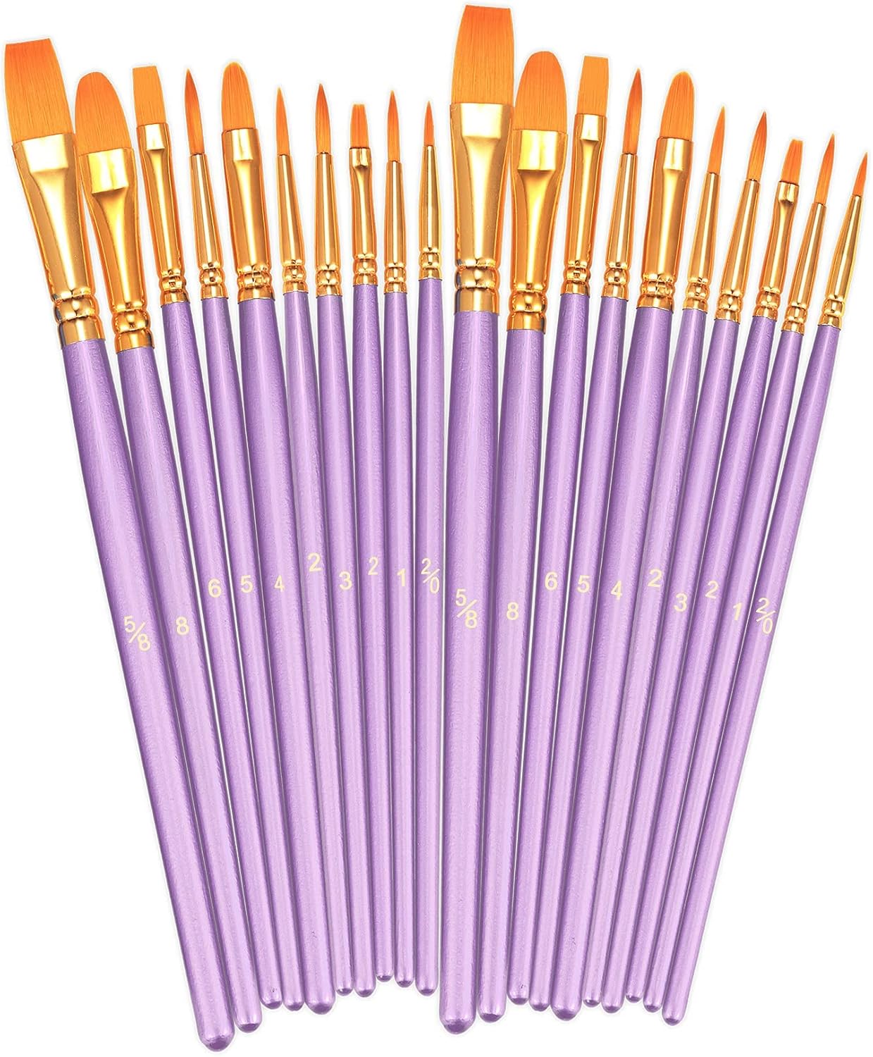 20 Piece Paint Brush Set