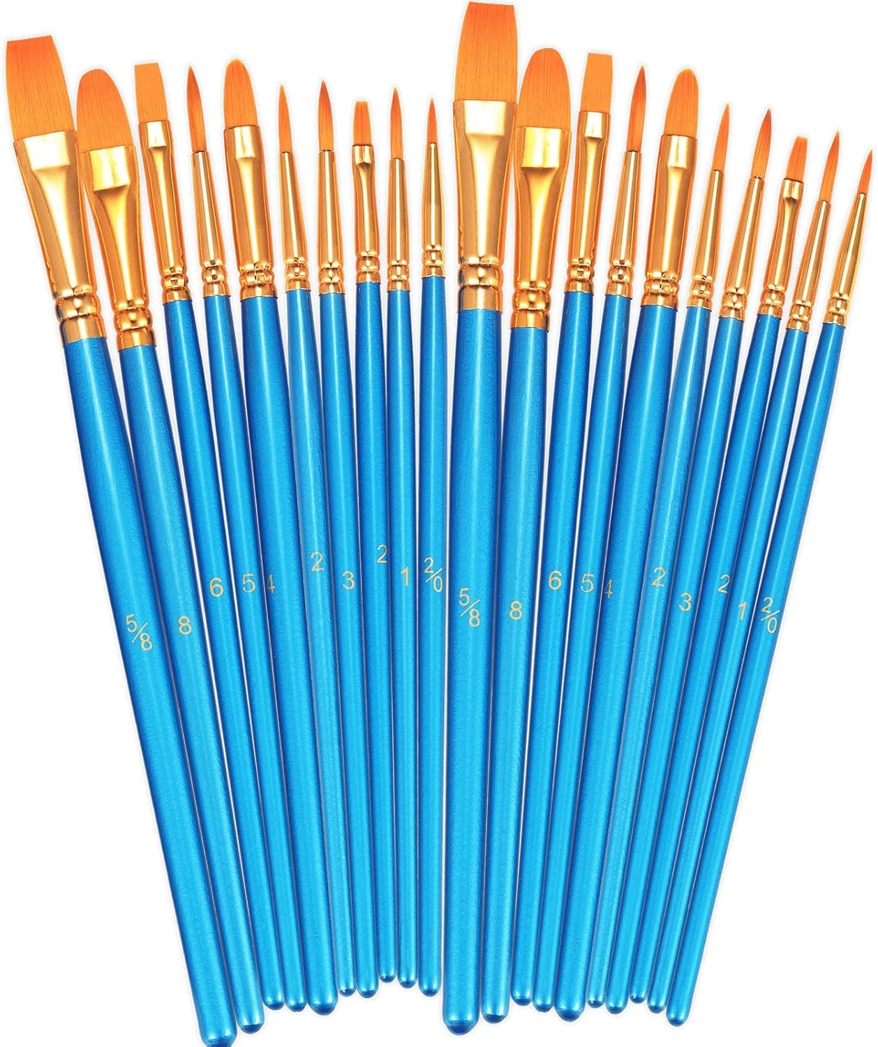 20 Piece Paint Brush Set